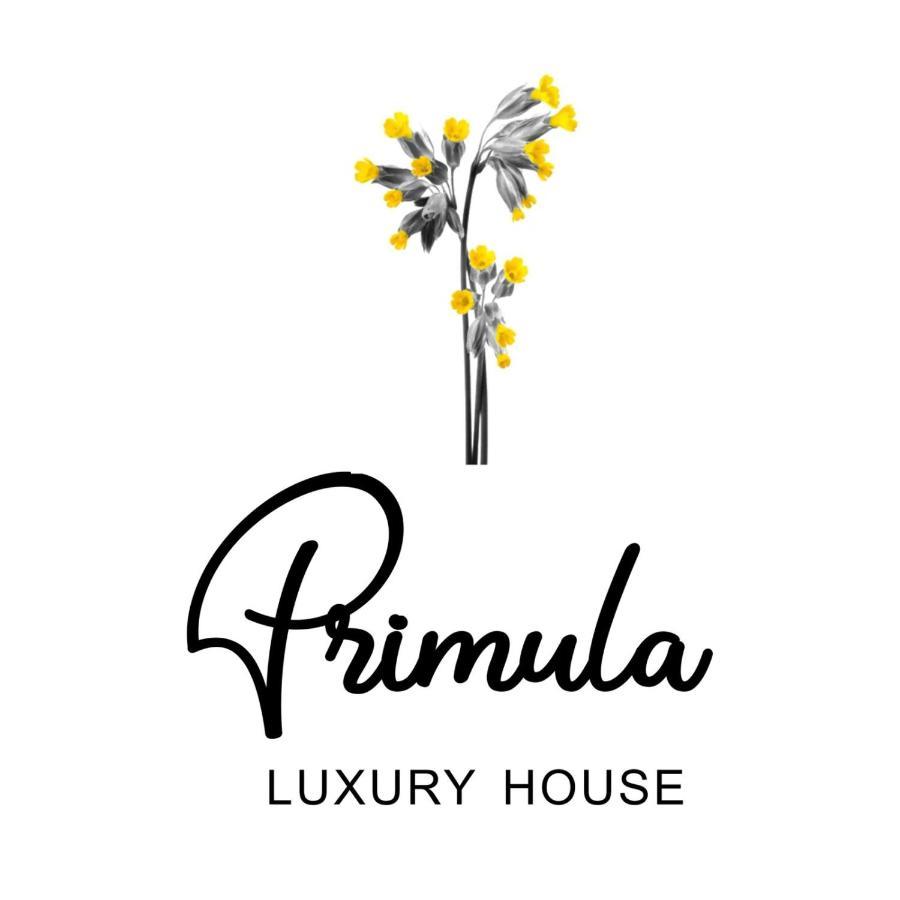 Primula Holiday home Metsovo