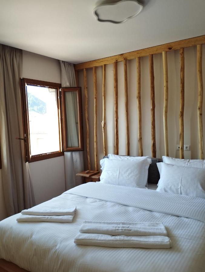 Primula Holiday home Metsovo